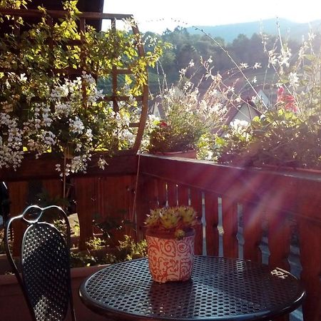 Marcia Donatti - A L'Ombre Des Coteaux Sao Paulo Hotell Kaysersberg-Vignoble Exteriör bild
