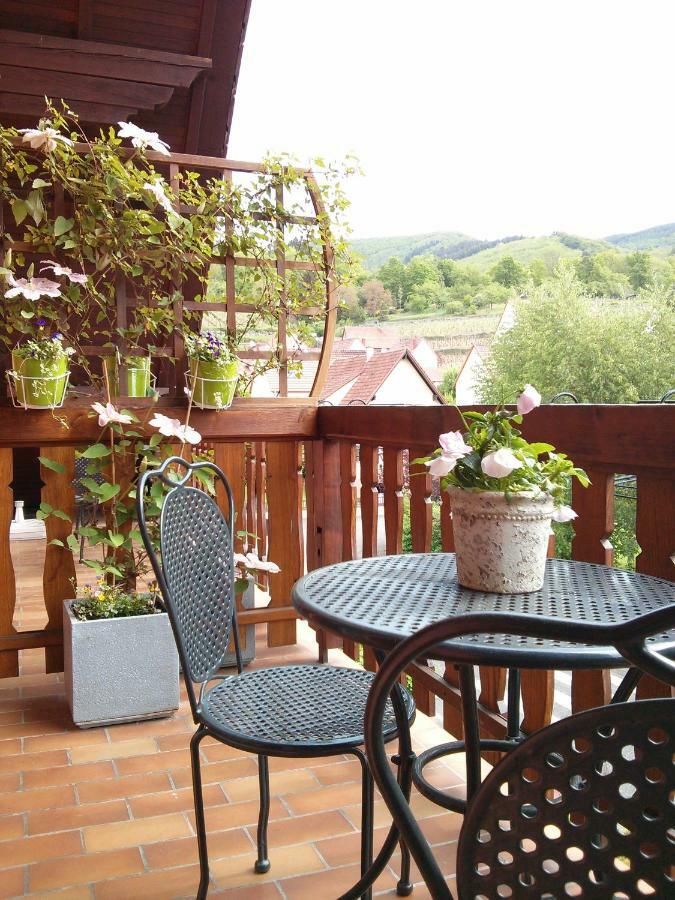 Marcia Donatti - A L'Ombre Des Coteaux Sao Paulo Hotell Kaysersberg-Vignoble Exteriör bild