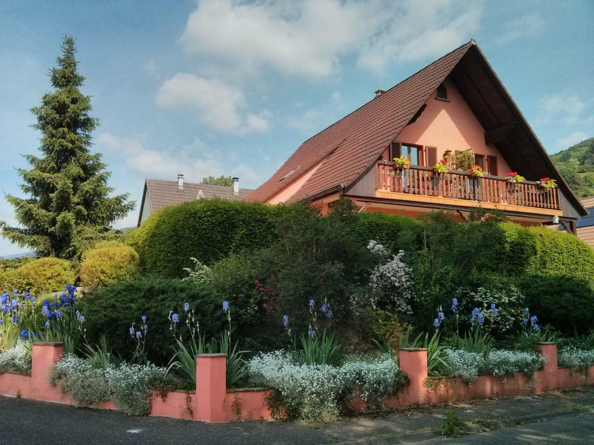 Marcia Donatti - A L'Ombre Des Coteaux Sao Paulo Hotell Kaysersberg-Vignoble Exteriör bild